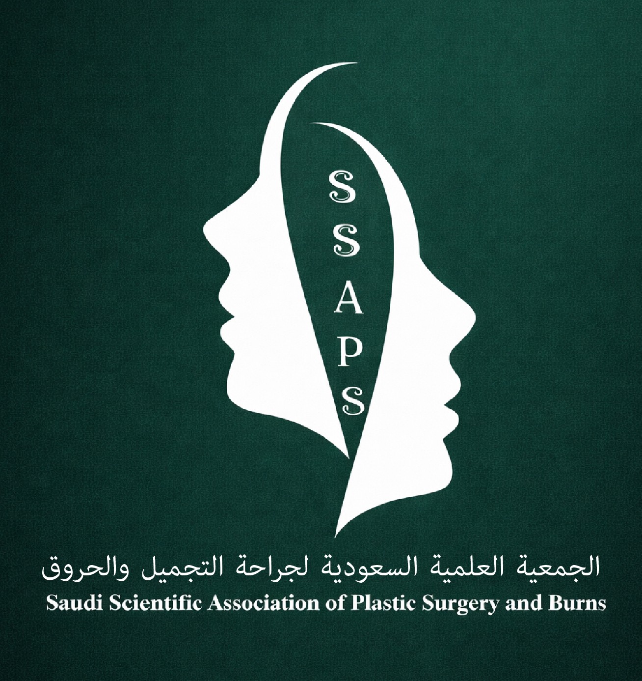 Plastic Surgery New Logo